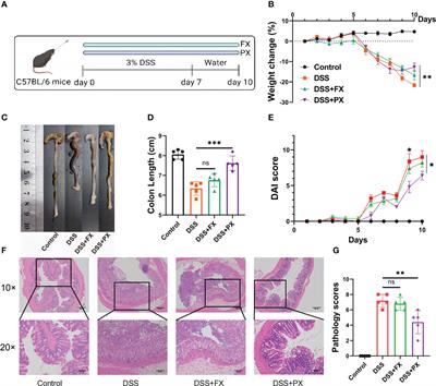 Identification and investigation of depression-related molecular subtypes in inflammatory bowel disease and the anti-inflammatory mechanisms of paroxetine